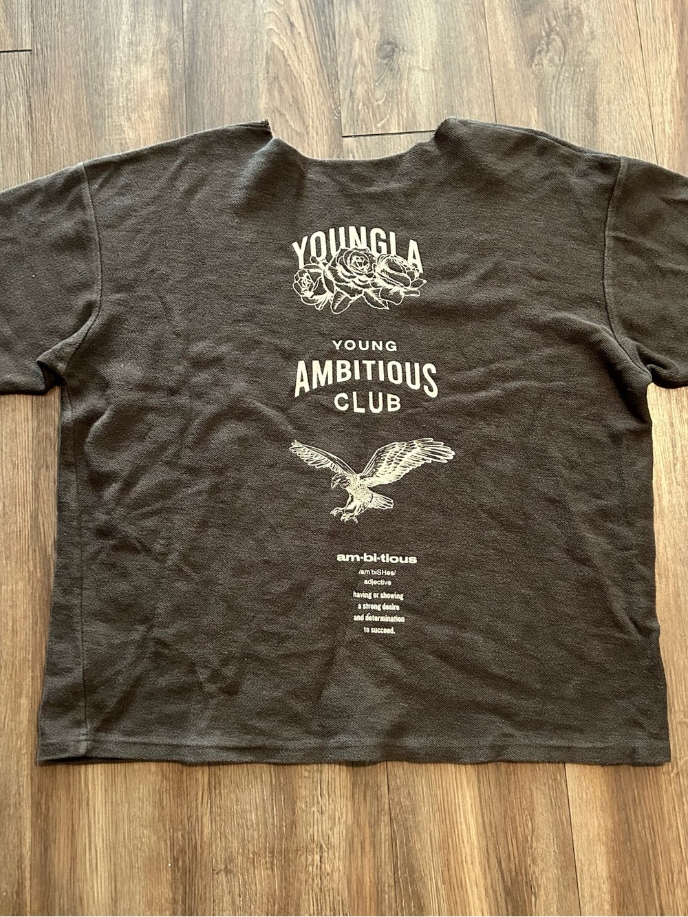 Youngla T Shirt Mens Large Brown Terry Crew Neck Distressed Young Ambitious Logo